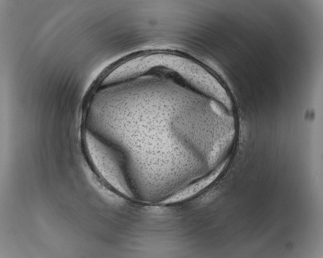 X0000111011124200907101309