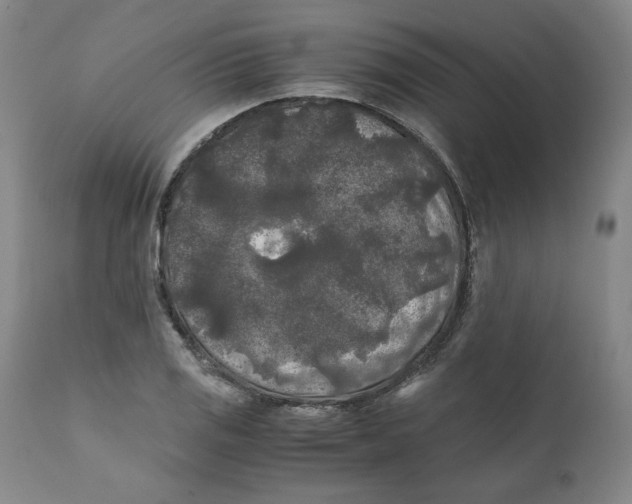 X0000111011125200907101309