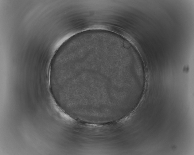 X0000111011127200907101309