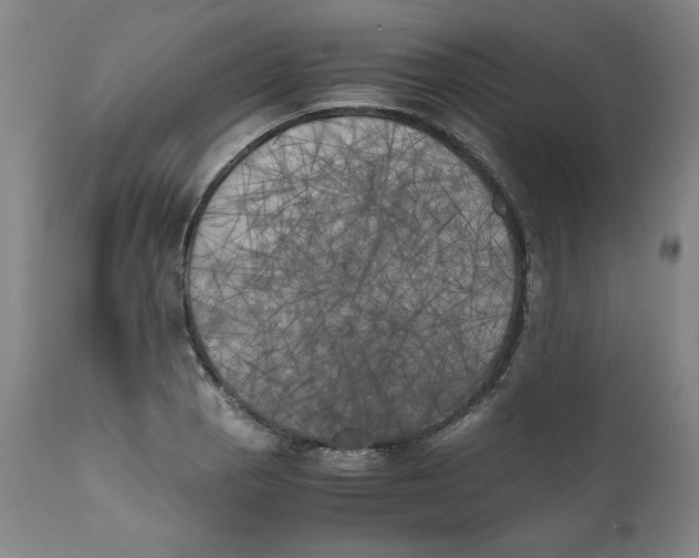 X0000111011129200907101309