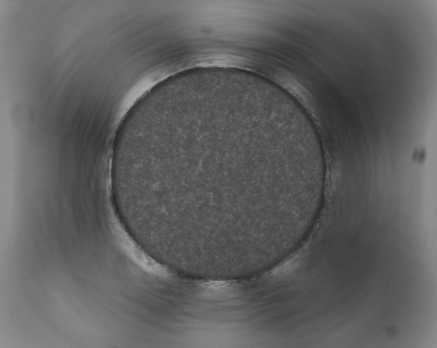 X0000111011130200907101309