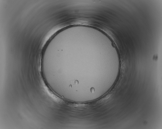 X0000111011131200907101309