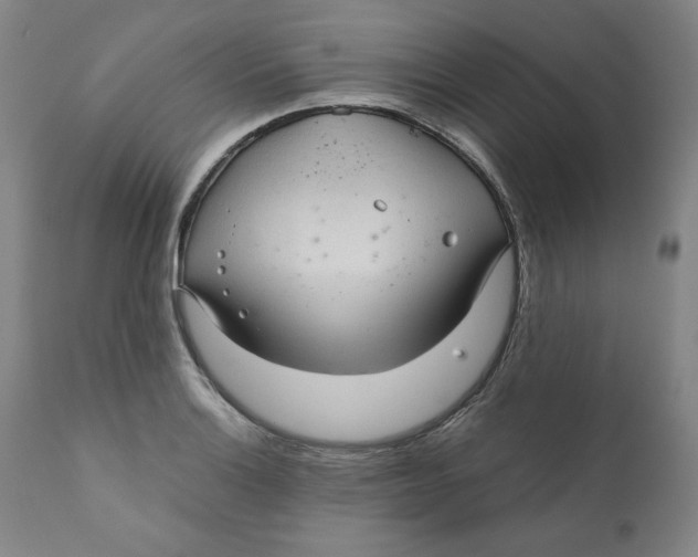 X0000111011132200907101309