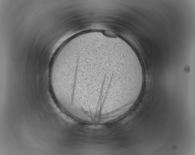 X0000111011133200907101309