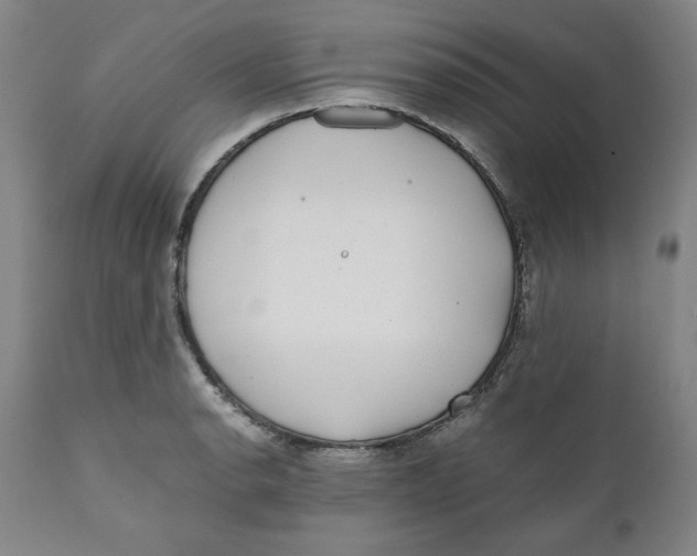 X0000111011134200907101309