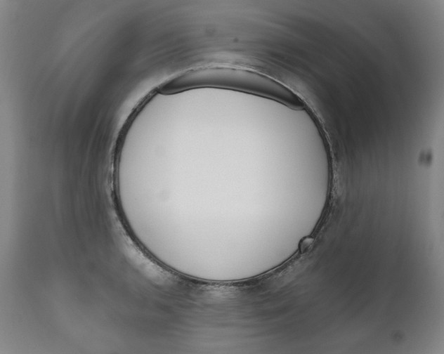 X0000111011136200907101309