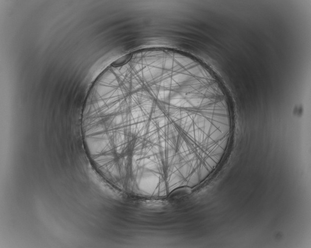 X0000111011137200907101309