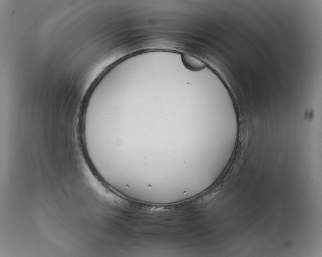 X0000111011139200907101309