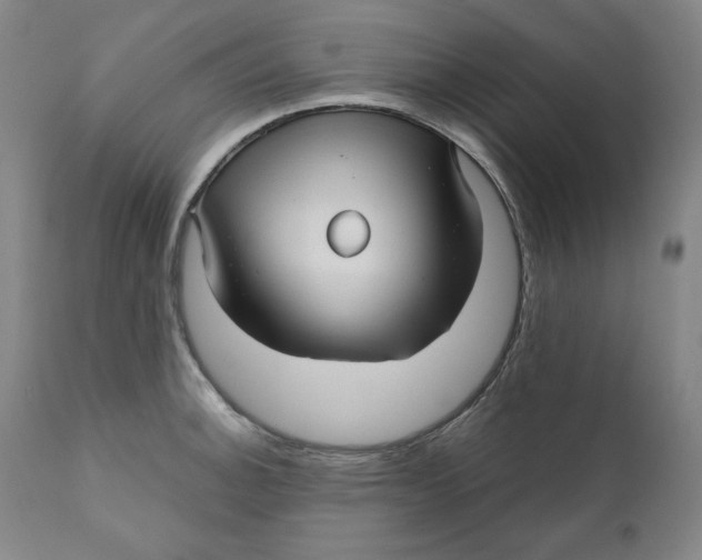 X0000111011140200907101309