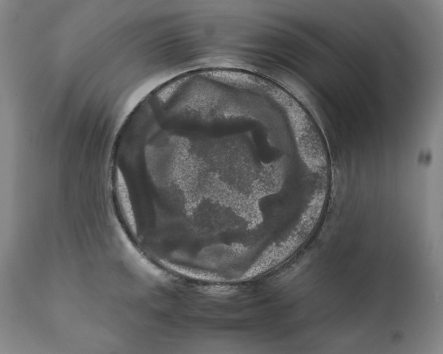X0000111011141200907101309
