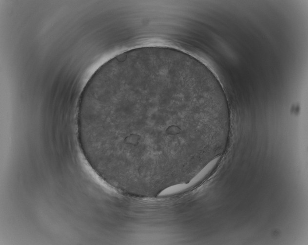 X0000111011142200907101309