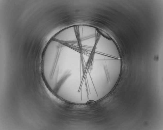 X0000111011143200907101309