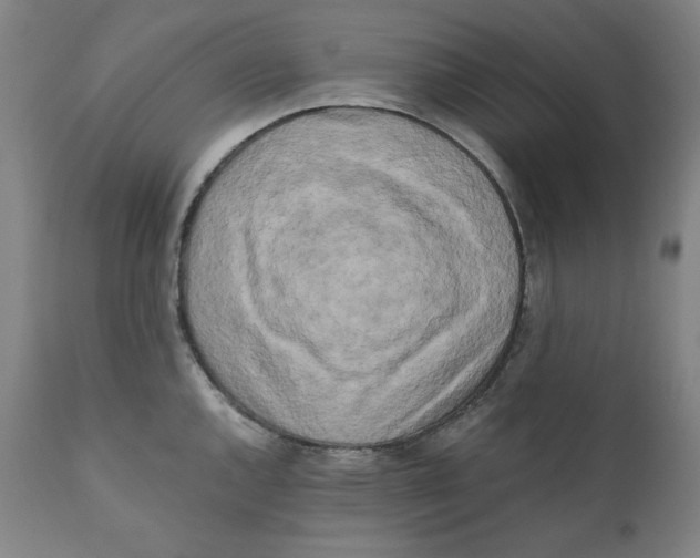 X0000111011144200907101309