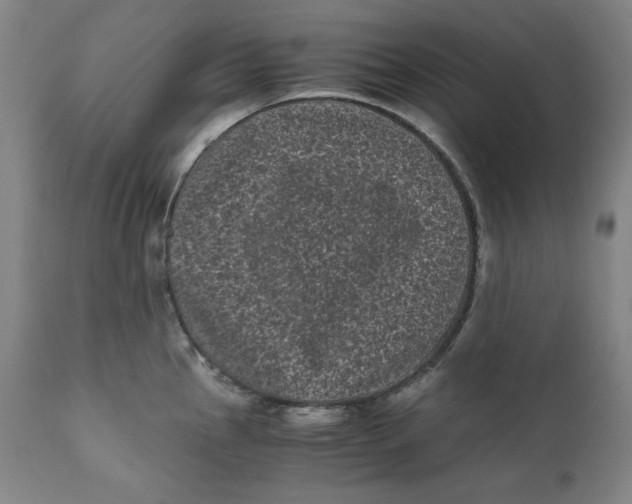 X0000111011145200907101309