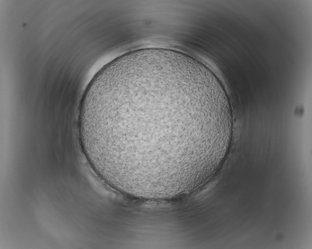 X0000111011146200907101309