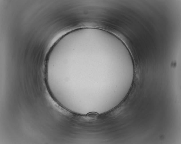 X0000111011147200907101309