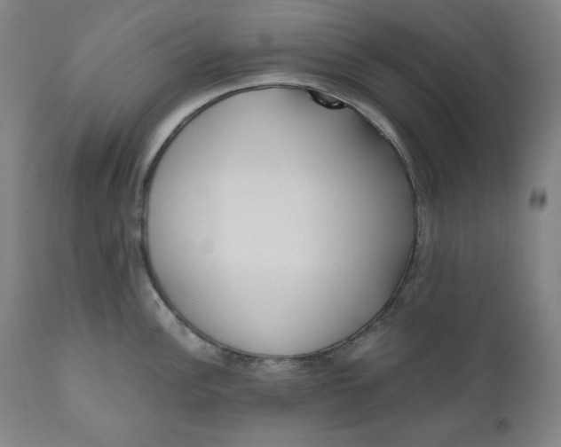 X0000111011148200907101309