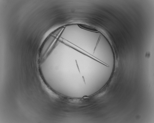 X0000111011149200907101309