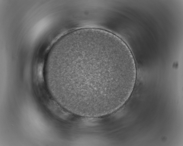 X0000111011150200907101309