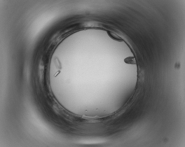 X0000111011151200907101309