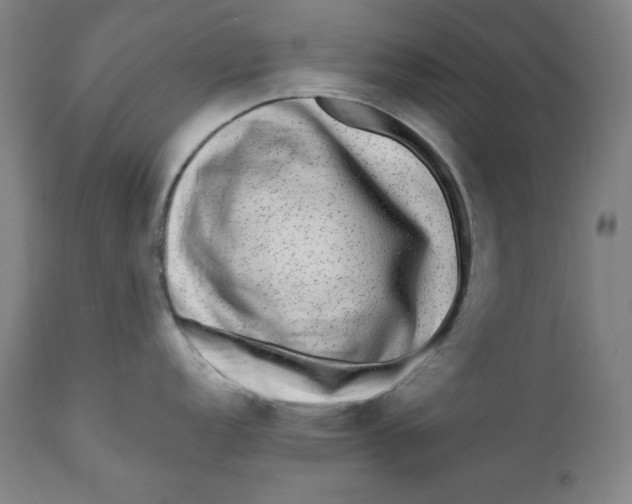 X0000111011152200907101309