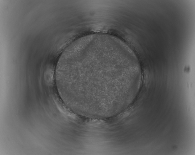 X0000111011154200907101309