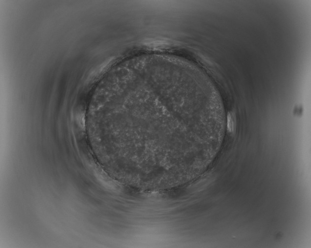 X0000111011155200907101309