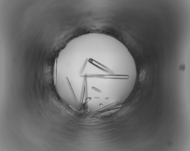 X0000111011156200907101309