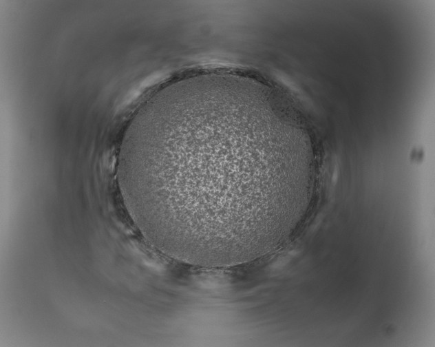 X0000111011157200907101309
