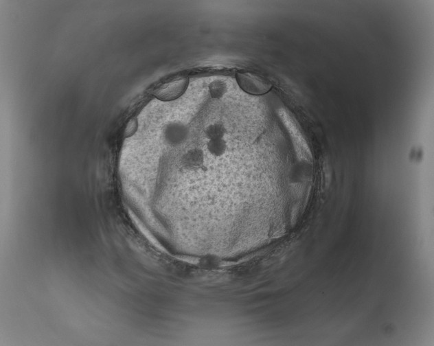 X0000111011158200907101309