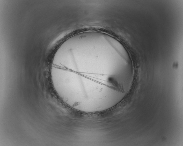 X0000111011159200907101309
