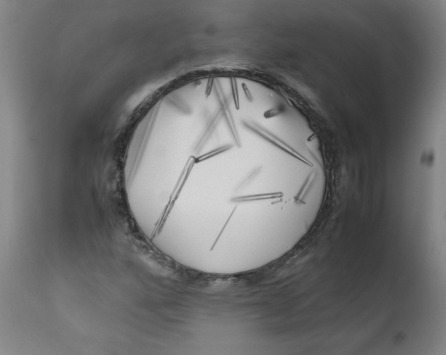 X0000111011160200907101309