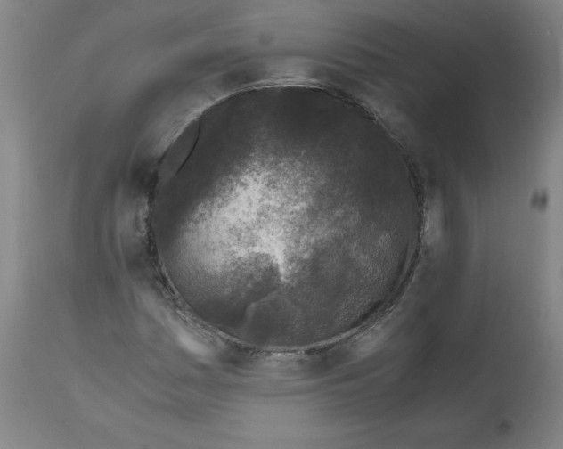 X0000111011161200907101309