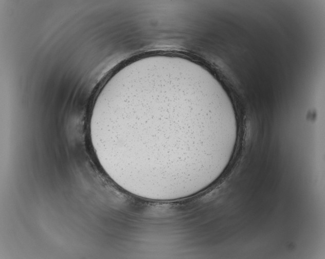 X0000111011162200907101309