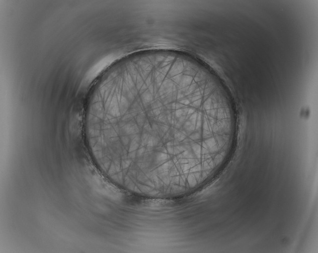 X0000111011163200907101309