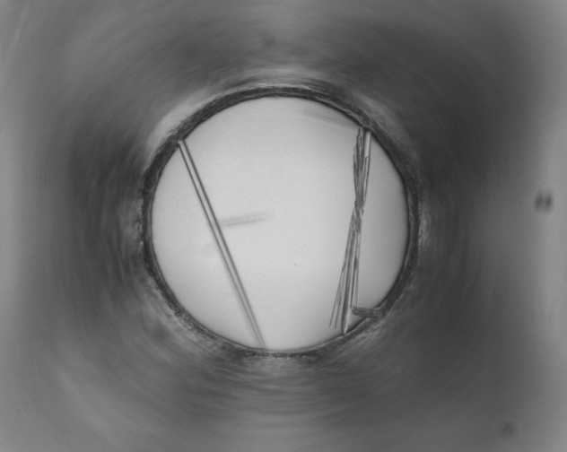 X0000111011164200907101309