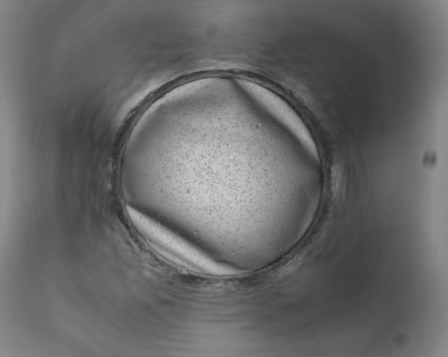 X0000111011165200907101309
