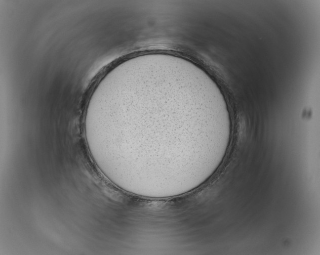 X0000111011166200907101309