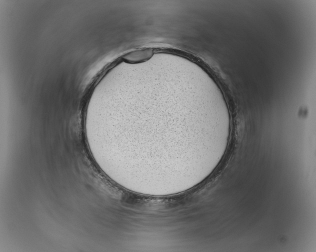 X0000111011167200907101309
