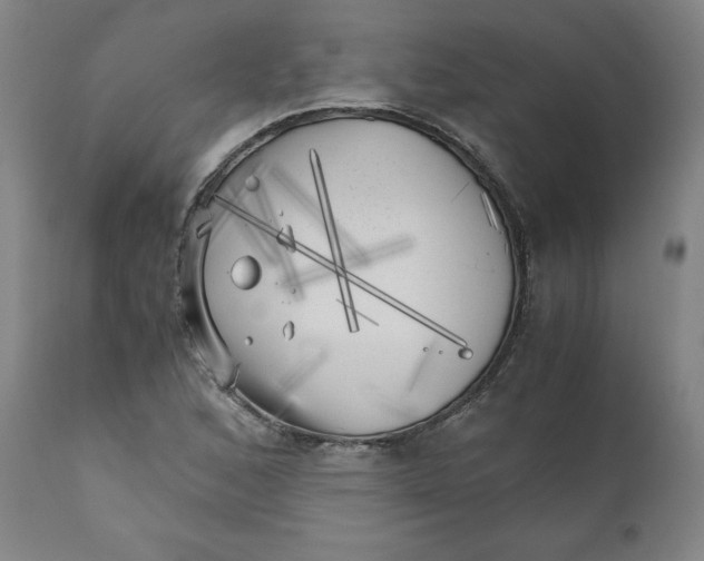 X0000111011168200907101309