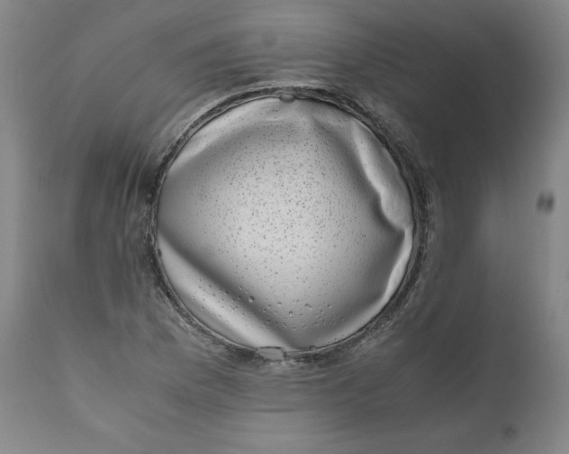 X0000111011169200907101309