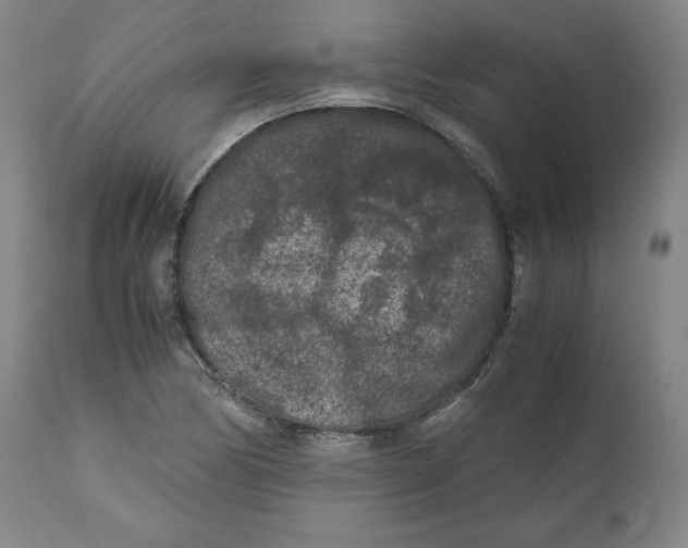 X0000111011170200907101308