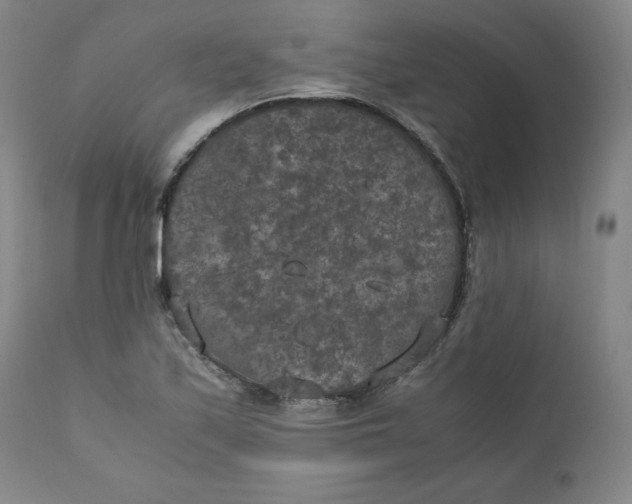 X0000111011171200907101308