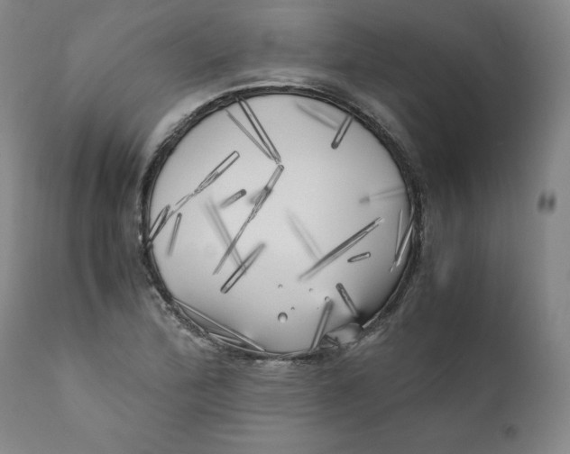 X0000111011172200907101308