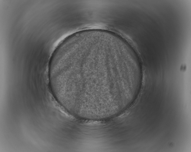 X0000111011174200907101308