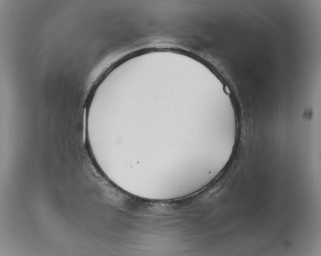 X0000111011175200907101308