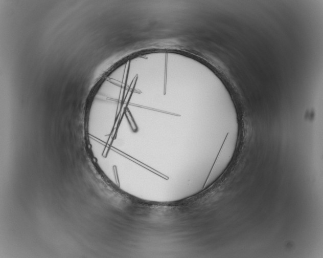 X0000111011176200907101308