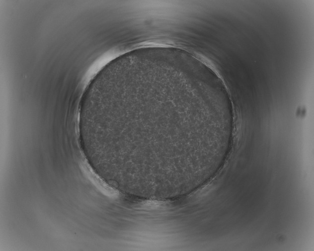 X0000111011179200907101308