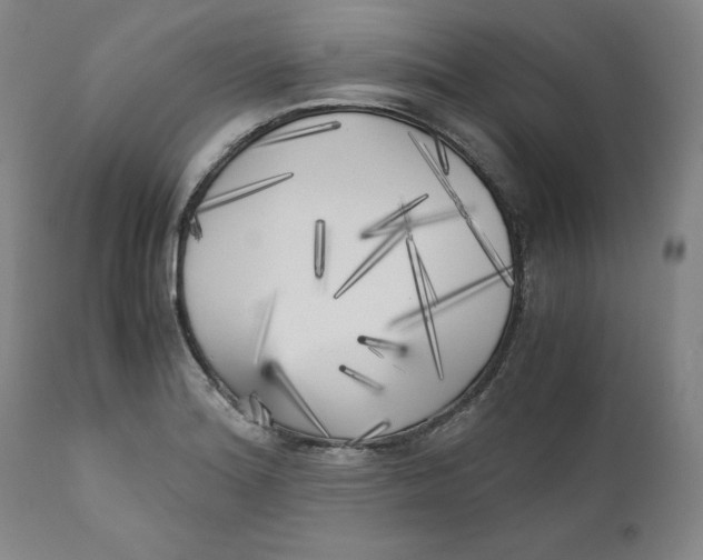 X0000111011180200907101308