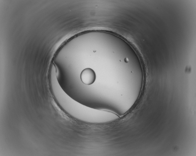 X0000111011181200907101308